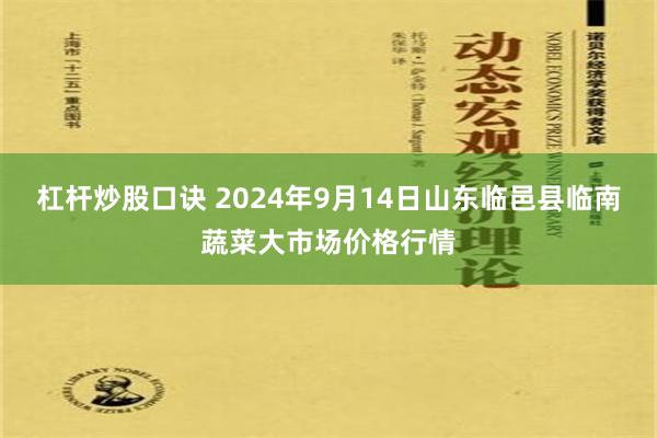 杠杆炒股口诀 2024年9月14日山东临邑县临南蔬菜大市场价格行情