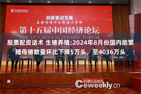 股票配资话术 生猪养殖:2024年8月份国内能繁殖母猪数量环比下降5万头，至4036万头