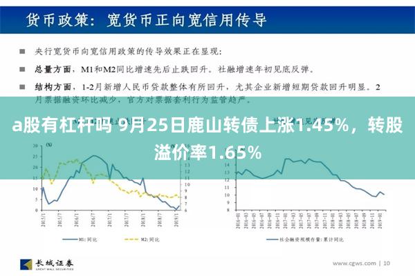 a股有杠杆吗 9月25日鹿山转债上涨1.45%，转股溢价率1.65%