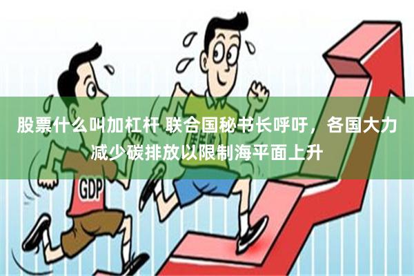 股票什么叫加杠杆 联合国秘书长呼吁，各国大力减少碳排放以限制海平面上升