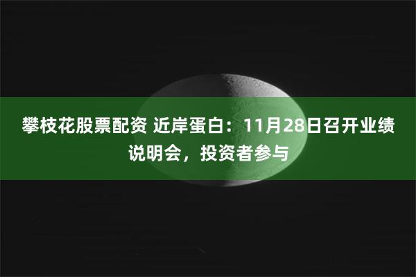 攀枝花股票配资 近岸蛋白：11月28日召开业绩说明会，投资者参与