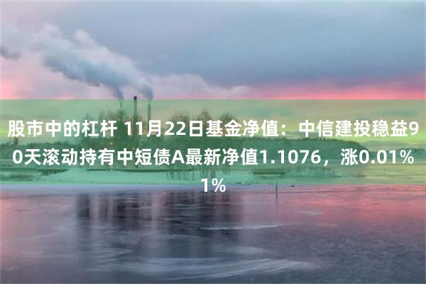 股市中的杠杆 11月22日基金净值：中信建投稳益90天滚动持有中短债A最新净值1.1076，涨0.01%