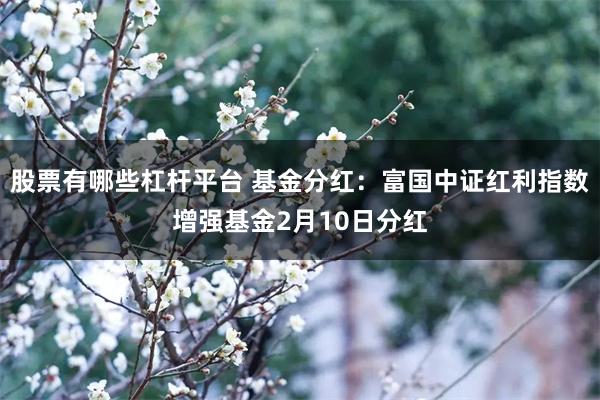 股票有哪些杠杆平台 基金分红：富国中证红利指数增强基金2月10日分红