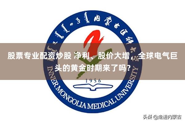 股票专业配资炒股 净利、股价大增，全球电气巨头的黄金时期来了吗？