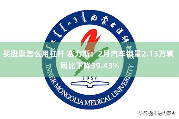 买股票怎么用杠杆 赛力斯：2月汽车销量2.13万辆 同比下降39.43%