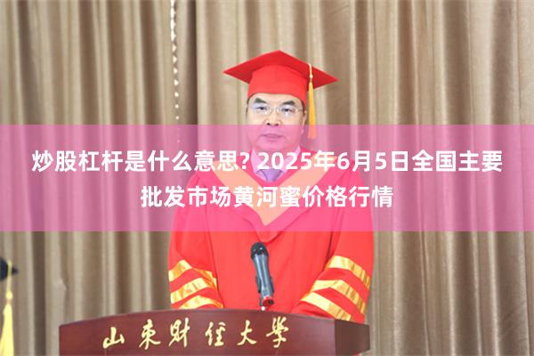 炒股杠杆是什么意思? 2025年6月5日全国主要批发市场黄河蜜价格行情