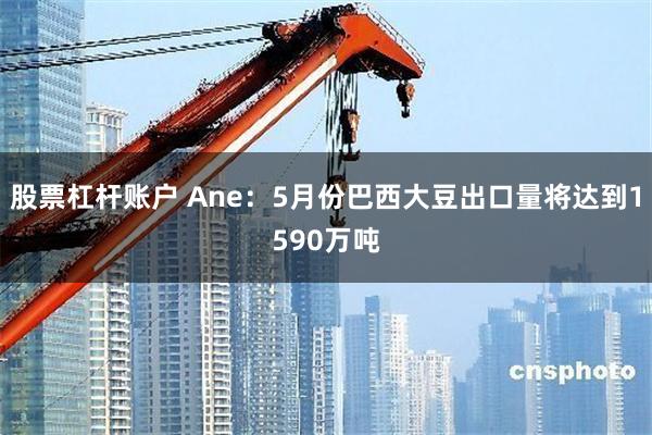 股票杠杆账户 Ane：5月份巴西大豆出口量将达到1590万吨