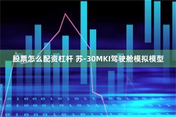 股票怎么配资杠杆 苏-30MKI驾驶舱模拟模型