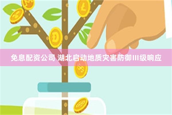 免息配资公司 湖北启动地质灾害防御Ⅲ级响应