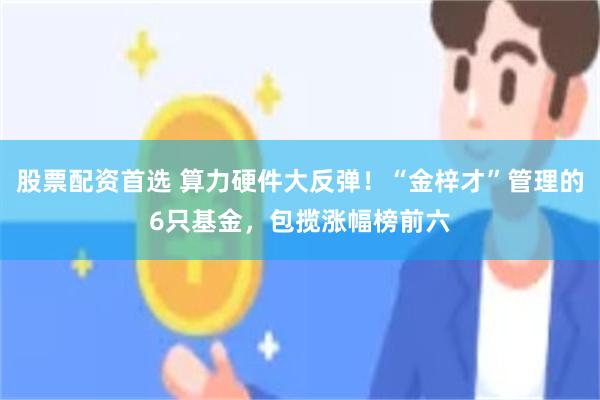 股票配资首选 算力硬件大反弹！“金梓才”管理的6只基金，包揽涨幅榜前六