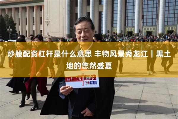 炒股配资杠杆是什么意思 丰物风景秀龙江｜黑土地的悠然盛夏