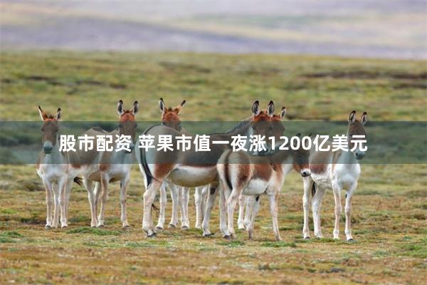 股市配资 苹果市值一夜涨1200亿美元