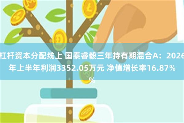 杠杆资本分配线上 国泰睿毅三年持有期混合A：2026年上半年利润3352.05万元 净值增长率16.87%