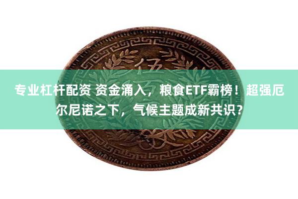 专业杠杆配资 资金涌入，粮食ETF霸榜！超强厄尔尼诺之下，气候主题成新共识？