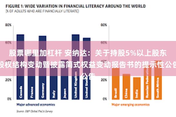 股票哪里加杠杆 安纳达：关于持股5%以上股东股权结构变动暨披露简式权益变动报告书的提示性公告